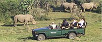 Kariega Game Reserve